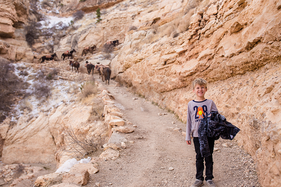 Hike Grand Canyon with kids